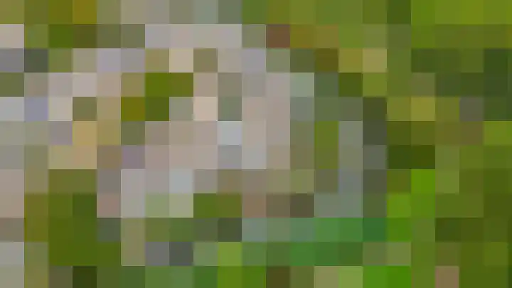 Standaardmolen 53 Capelle aan den IJssel thumbnail 39