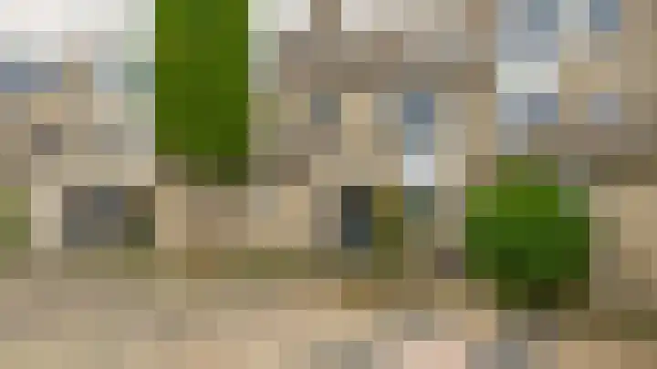 Standaardmolen 53 Capelle aan den IJssel thumbnail 4