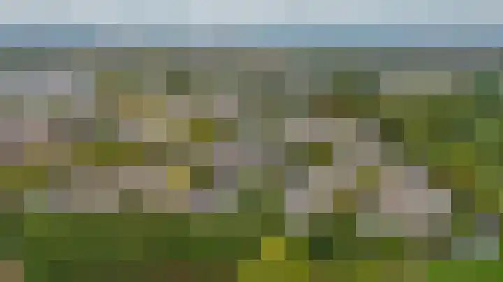 Standaardmolen 53 Capelle aan den IJssel thumbnail 43