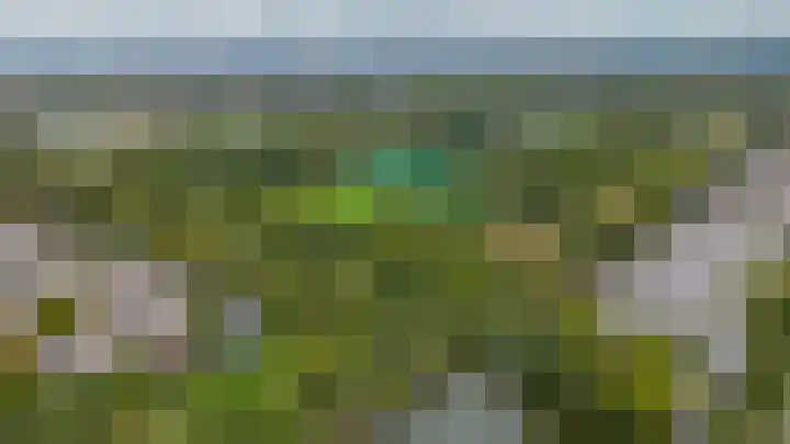 Standaardmolen 53 Capelle aan den IJssel thumbnail 44