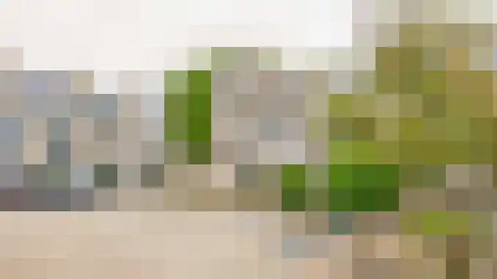 Standaardmolen 53 Capelle aan den IJssel thumbnail 5