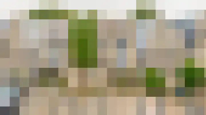 Standaardmolen 53 Capelle aan den IJssel thumbnail 6