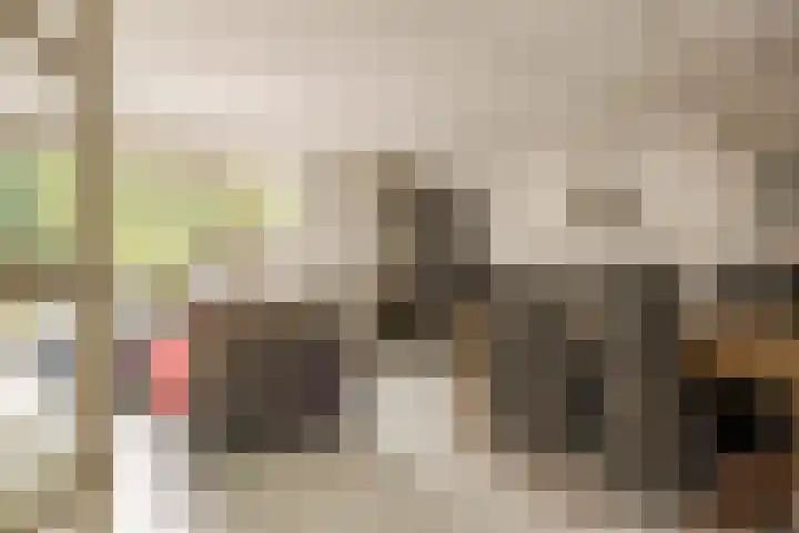 Standaardmolen 53 Capelle aan den IJssel thumbnail 9