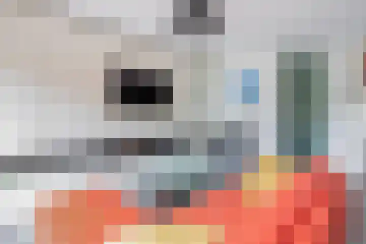 Standaardmolen 60 Capelle aan den IJssel thumbnail 10