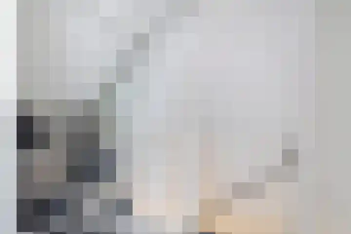 Standaardmolen 60 Capelle aan den IJssel thumbnail 30