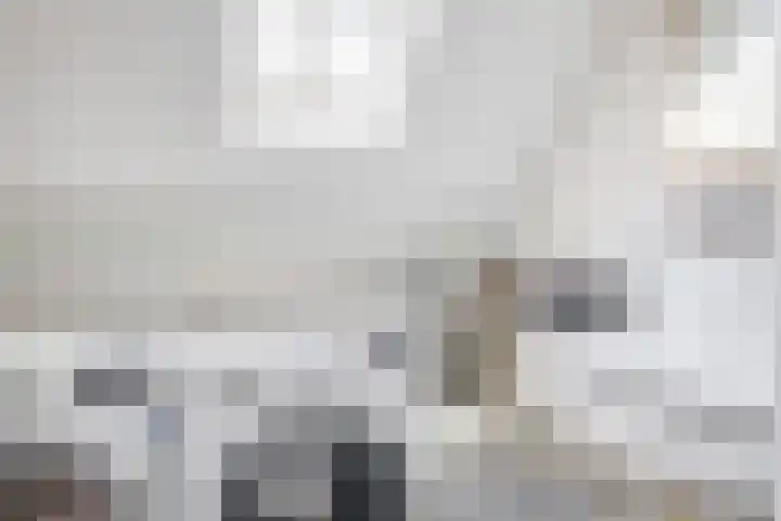 Standaardmolen 60 Capelle aan den IJssel thumbnail 32