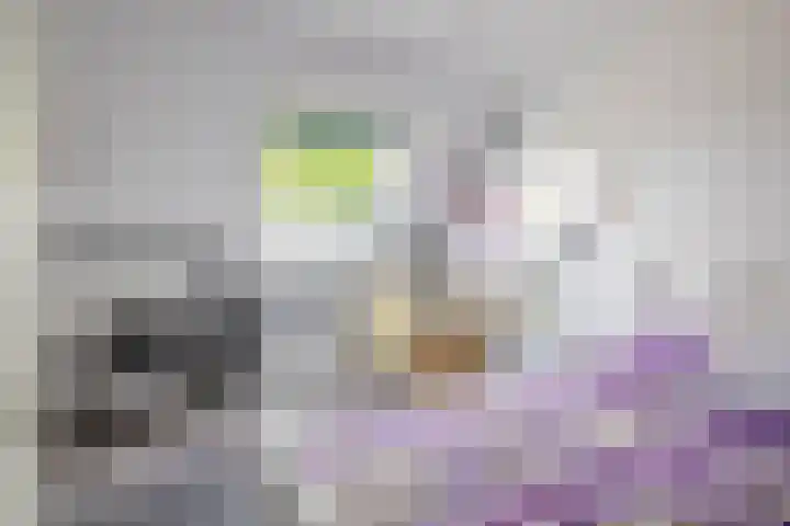 Standaardmolen 60 Capelle aan den IJssel thumbnail 34