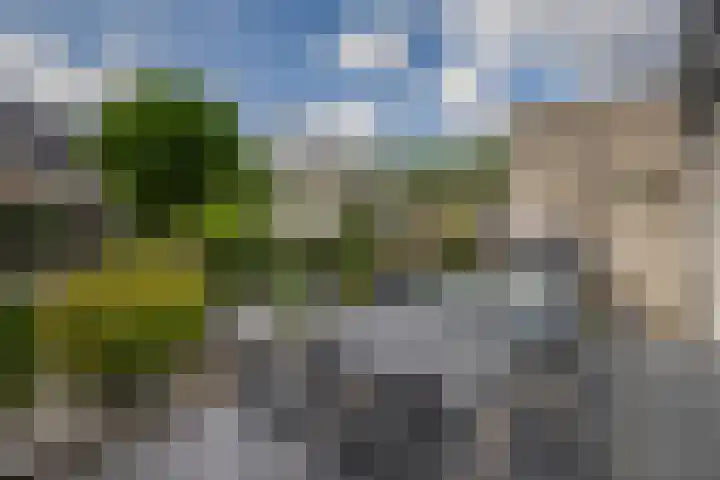Standaardmolen 60 Capelle aan den IJssel thumbnail 35