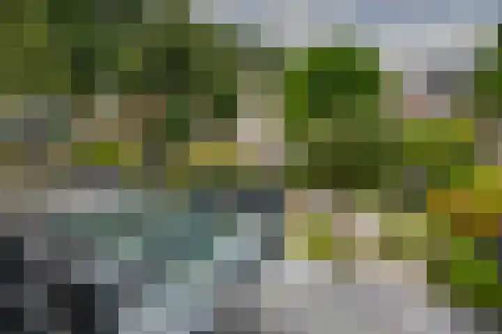 Standaardmolen 60 Capelle aan den IJssel thumbnail 36