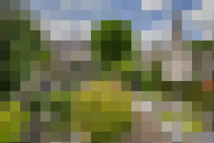 Standaardmolen 60 Capelle aan den IJssel thumbnail 37