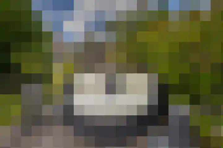 Standaardmolen 60 Capelle aan den IJssel thumbnail 4