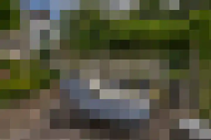 Standaardmolen 60 Capelle aan den IJssel thumbnail 40