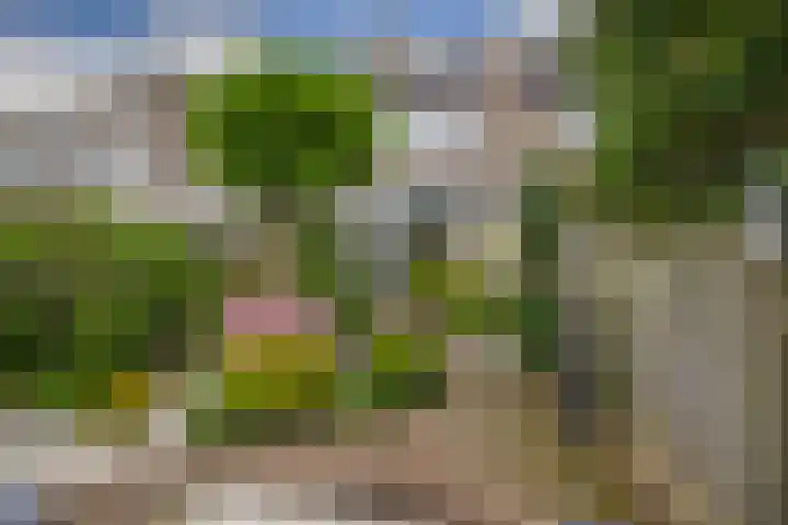 Standaardmolen 60 Capelle aan den IJssel thumbnail 42