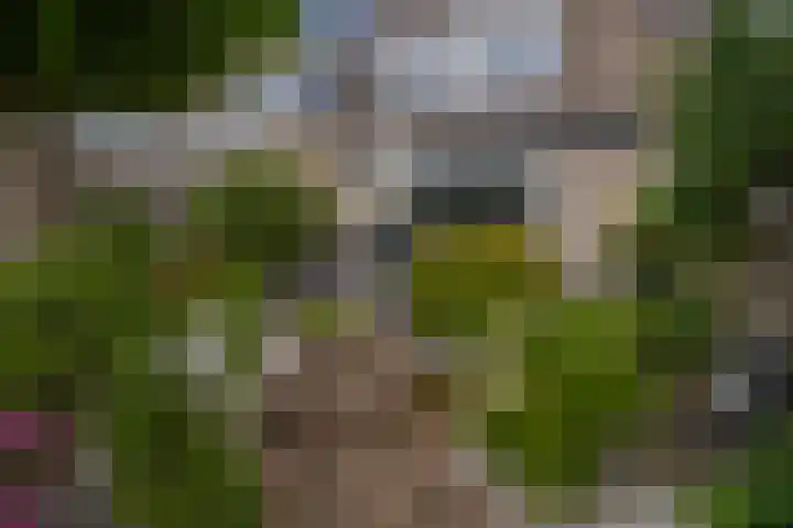 Standaardmolen 60 Capelle aan den IJssel thumbnail 43