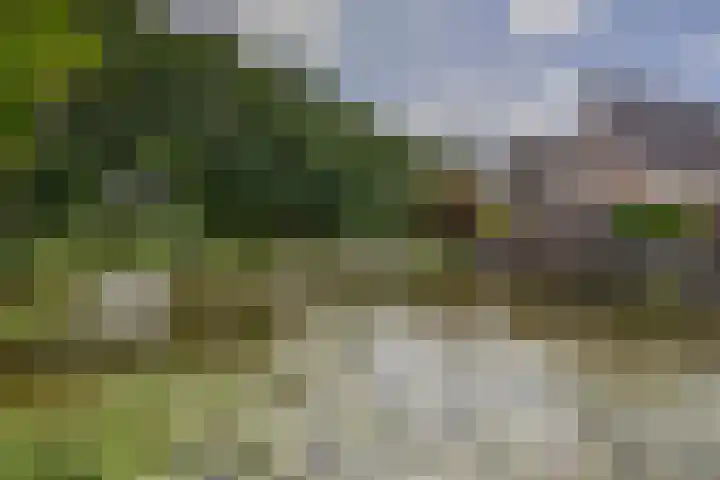 Standaardmolen 60 Capelle aan den IJssel thumbnail 44