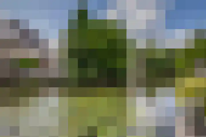 Standaardmolen 60 Capelle aan den IJssel thumbnail 45