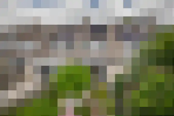 Standaardmolen 60 Capelle aan den IJssel thumbnail 46