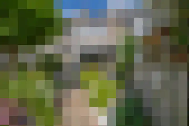 Standaardmolen 60 Capelle aan den IJssel thumbnail 47