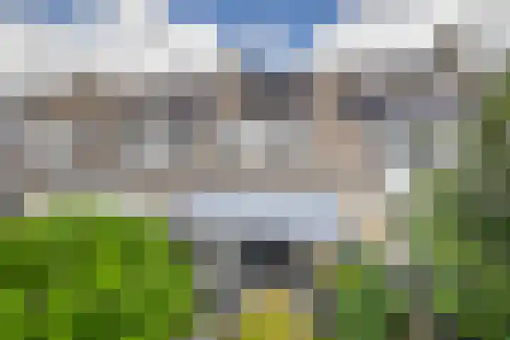 Standaardmolen 60 Capelle aan den IJssel thumbnail 48