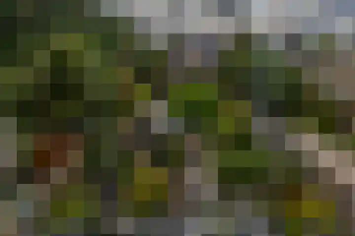 Standaardmolen 60 Capelle aan den IJssel thumbnail 49