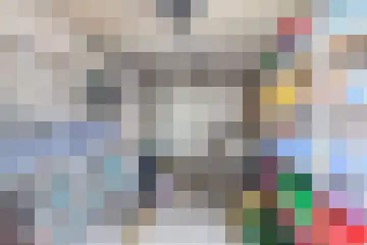 Standaardmolen 60 Capelle aan den IJssel thumbnail 50