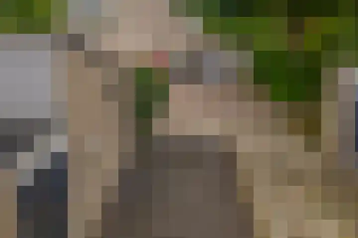 Standaardmolen 60 Capelle aan den IJssel thumbnail 52