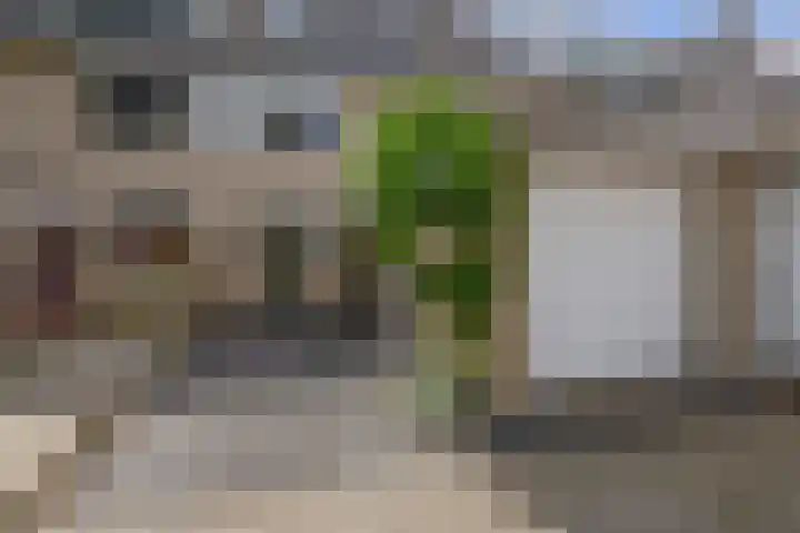 Standaardmolen 60 Capelle aan den IJssel thumbnail 59