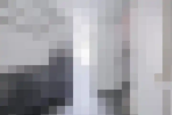 Standaardmolen 60 Capelle aan den IJssel thumbnail 6
