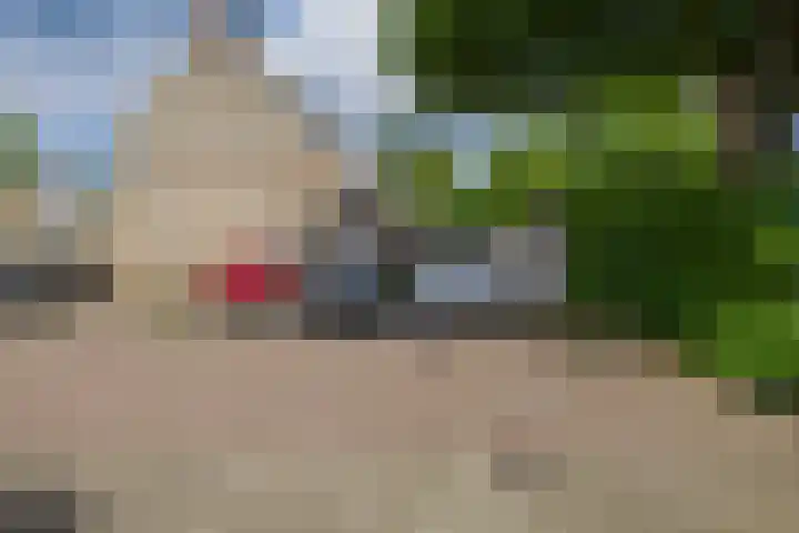 Standaardmolen 60 Capelle aan den IJssel thumbnail 60