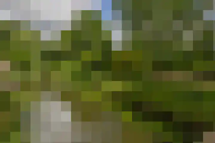 Standaardmolen 60 Capelle aan den IJssel thumbnail 61
