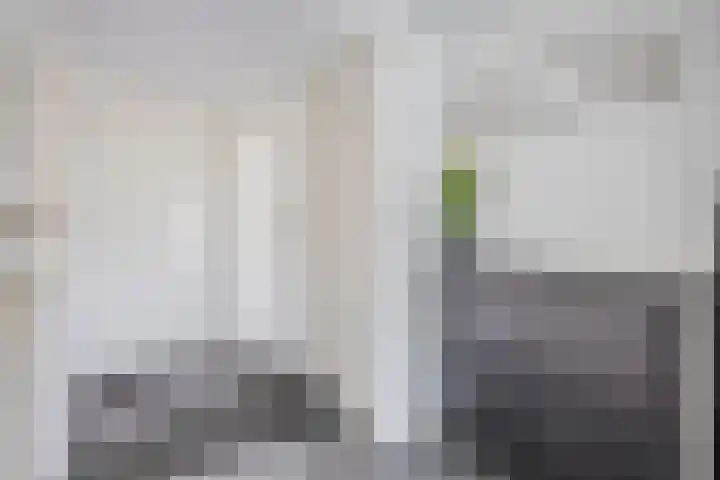 Standaardmolen 60 Capelle aan den IJssel thumbnail 7