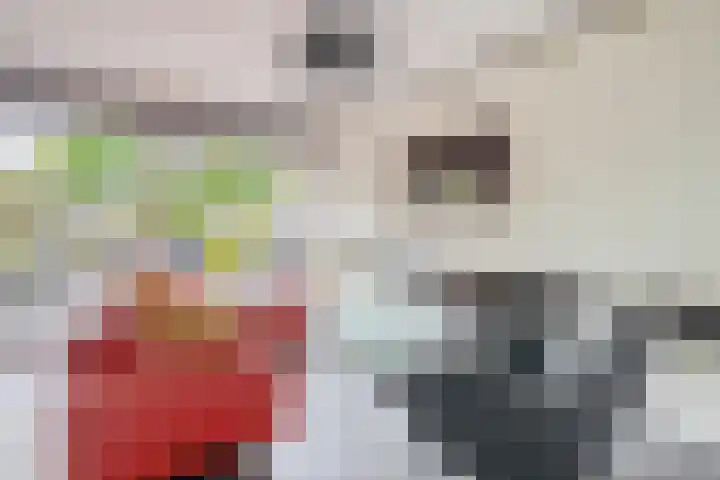 Standaardmolen 60 Capelle aan den IJssel thumbnail 9