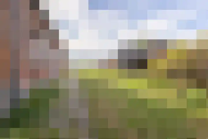 Standdaarbuitenswegje 3 Oud Gastel thumbnail 10