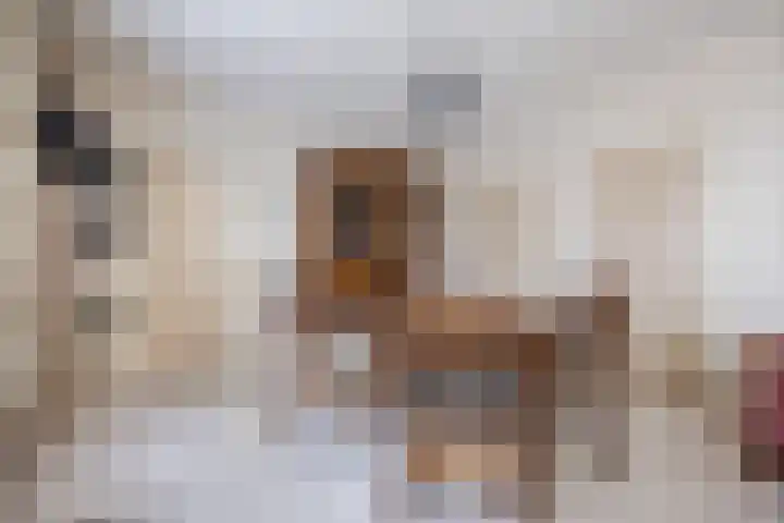 Standdaarbuitenswegje 3 Oud Gastel thumbnail 13