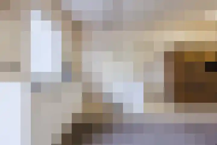 Standdaarbuitenswegje 3 Oud Gastel thumbnail 16