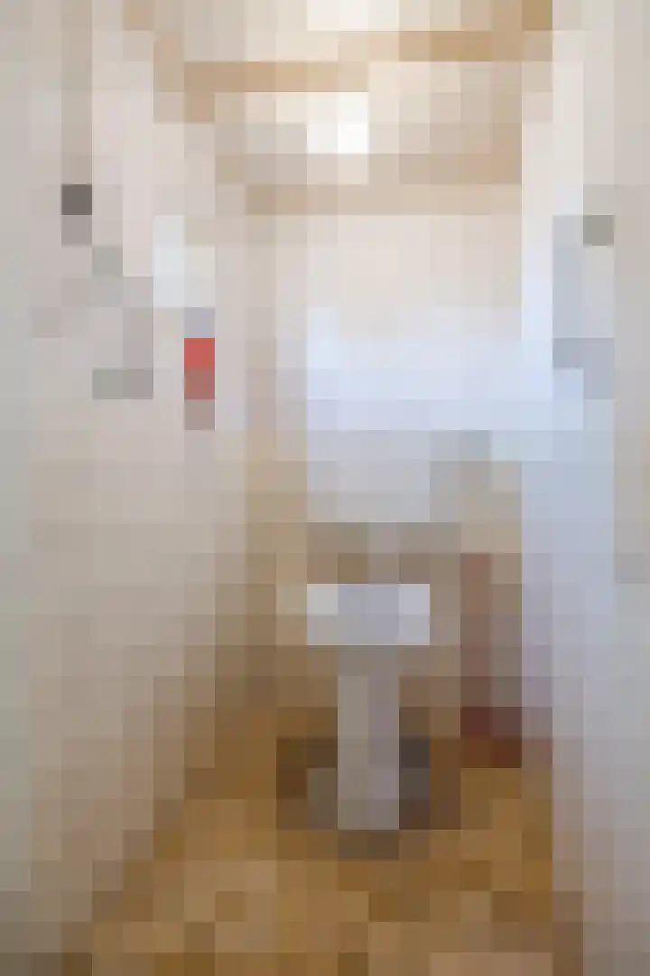 Standdaarbuitenswegje 3 Oud Gastel thumbnail 24