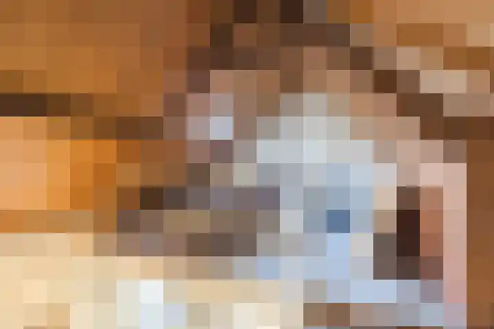 Standdaarbuitenswegje 3 Oud Gastel thumbnail 31
