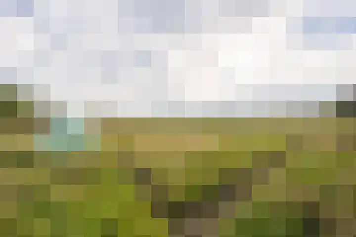 Standdaarbuitenswegje 3 Oud Gastel thumbnail 32