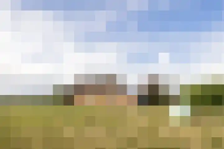 Standdaarbuitenswegje 3 Oud Gastel thumbnail 33