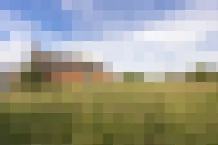 Standdaarbuitenswegje 3 Oud Gastel thumbnail 35