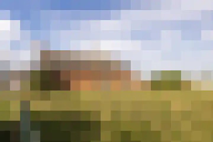 Standdaarbuitenswegje 3 Oud Gastel thumbnail 36