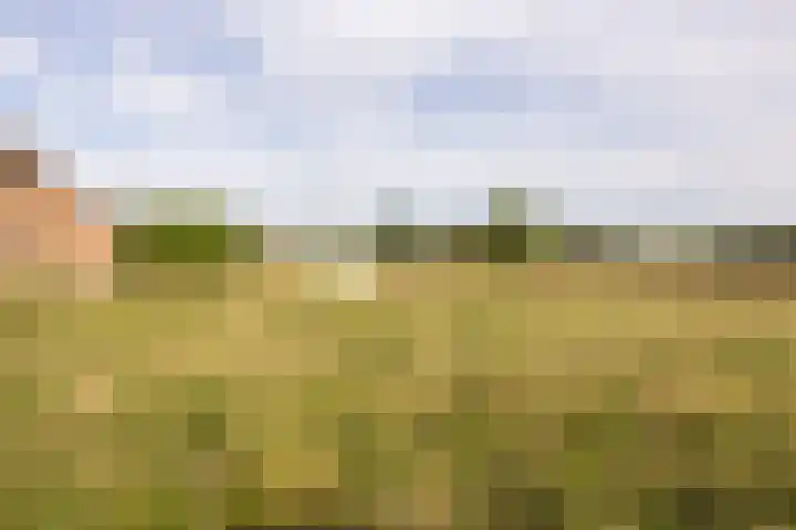 Standdaarbuitenswegje 3 Oud Gastel thumbnail 37