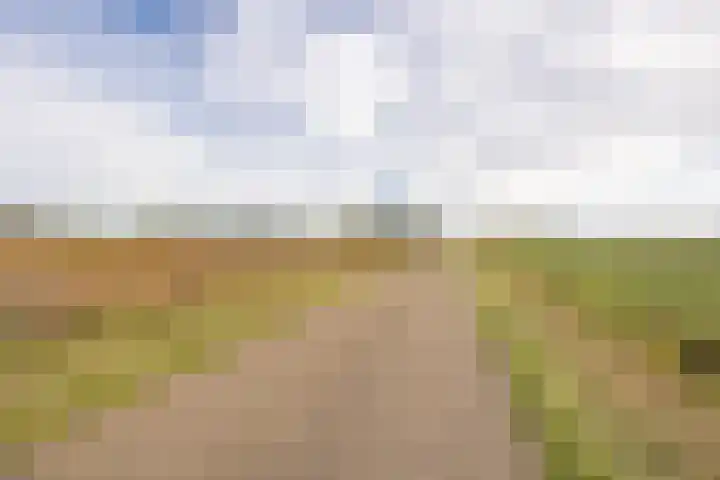 Standdaarbuitenswegje 3 Oud Gastel thumbnail 39