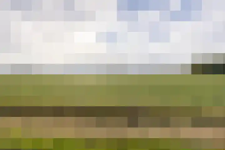 Standdaarbuitenswegje 3 Oud Gastel thumbnail 40