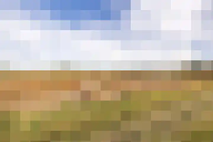 Standdaarbuitenswegje 3 Oud Gastel thumbnail 41