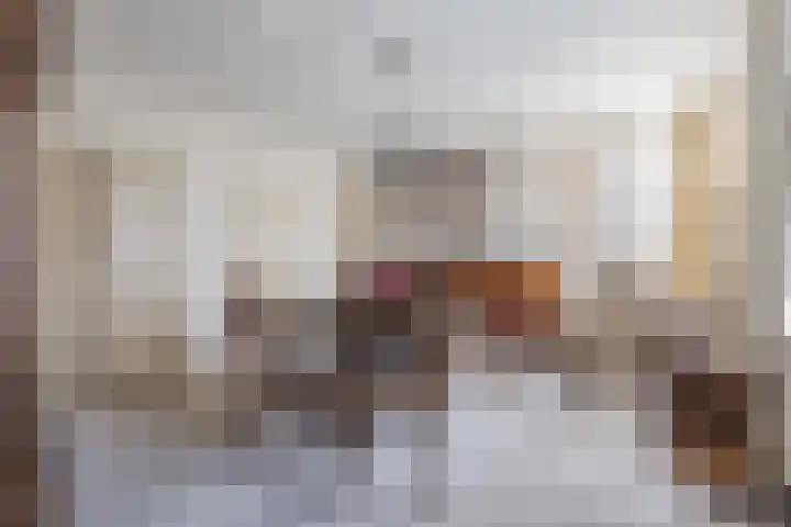 Standdaarbuitenswegje 3 Oud Gastel thumbnail 42