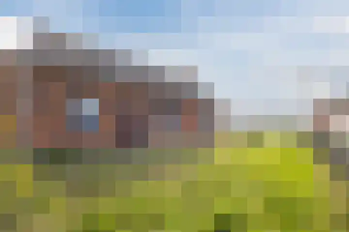Standdaarbuitenswegje 3 Oud Gastel thumbnail 9