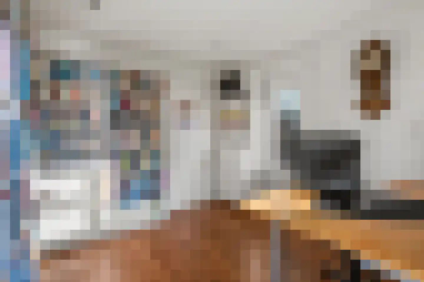 Standenland 10 Houten thumbnail 17