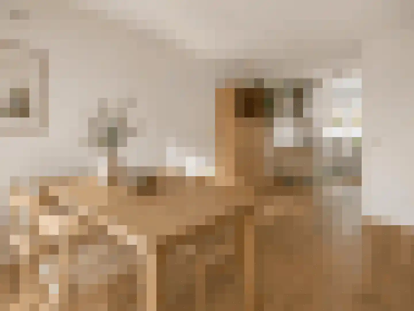 Standenland 10 Houten thumbnail 6