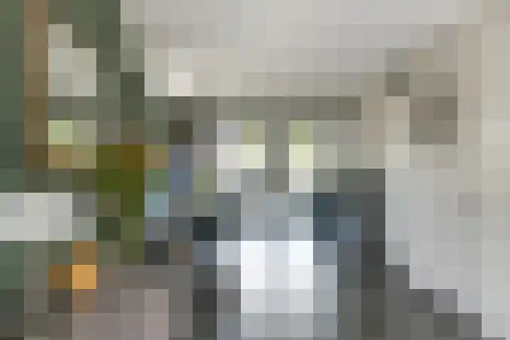 Standerd 35 Valburg thumbnail 10